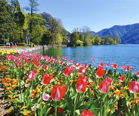 Überraschungen für Kids im Parco Ciani in Lugano